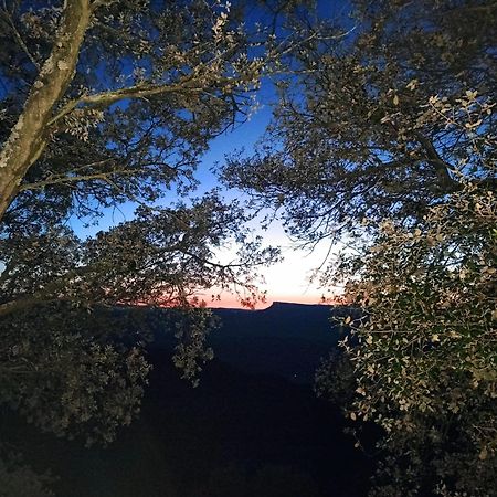 ホテル La Terraza バニョラス エクステリア 写真