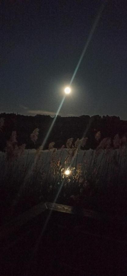 ホテル La Terraza バニョラス エクステリア 写真